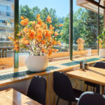 Sushi se rozjede na Kryblici. V Trutnově otevírá nová restaurace Hoshi