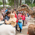 FOTO: Stezka korunami stromů oslavila deváté narozeniny
