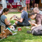 Street Food Piknik: městský park provoněly speciality z celého světa